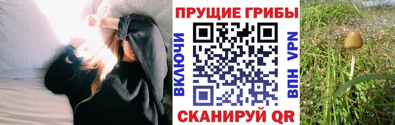 MEGA вход  Нюрба  Псилоцибиновые грибы MAGIC MUSHROOMS 